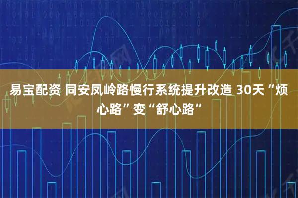易宝配资 同安凤岭路慢行系统提升改造 30天“烦心路”变“舒心路”