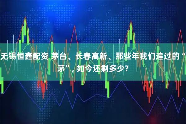 无锡恒鑫配资 茅台、长春高新、那些年我们追过的“茅”, 如今还剩多少?