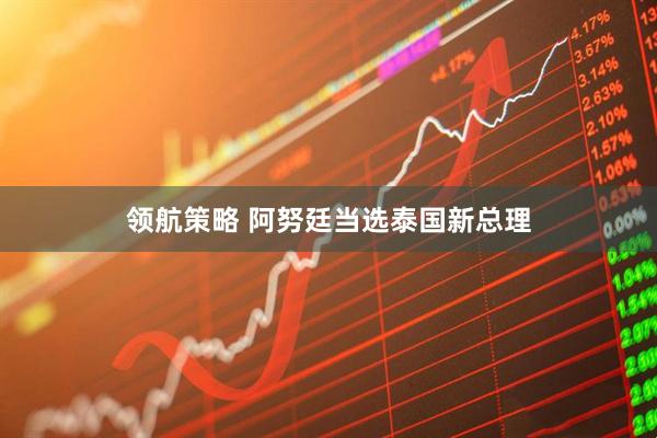 领航策略 阿努廷当选泰国新总理