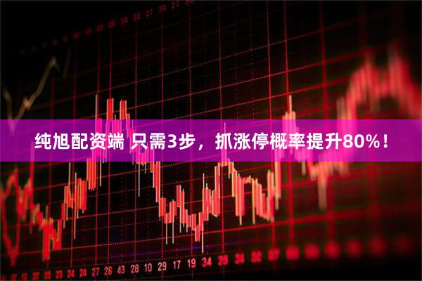 纯旭配资端 只需3步，抓涨停概率提升80%！