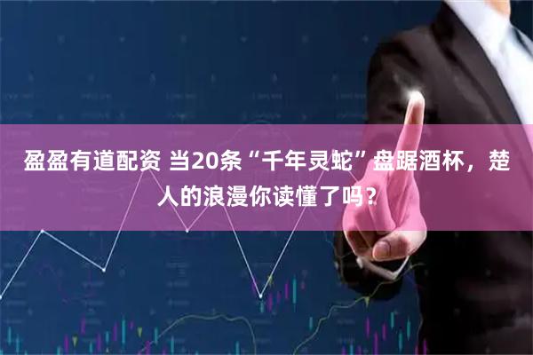 盈盈有道配资 当20条“千年灵蛇”盘踞酒杯，楚人的浪漫你读懂了吗？