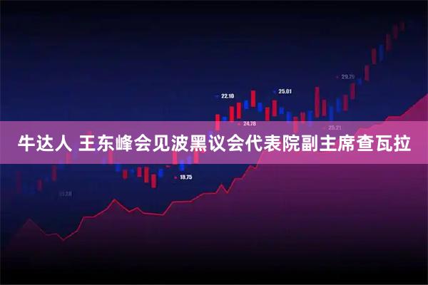 牛达人 王东峰会见波黑议会代表院副主席查瓦拉