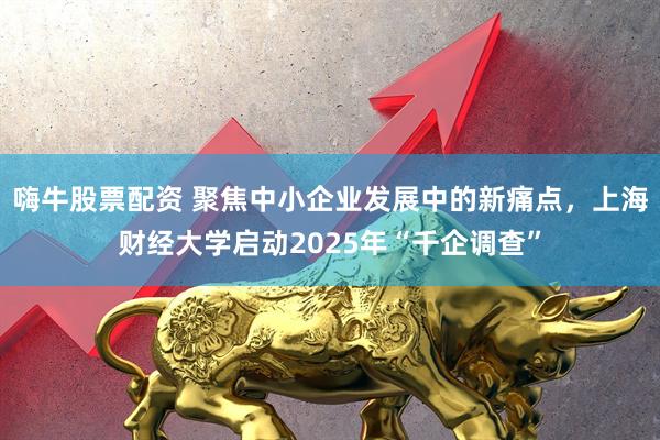 嗨牛股票配资 聚焦中小企业发展中的新痛点，上海财经大学启动2025年“千企调查”