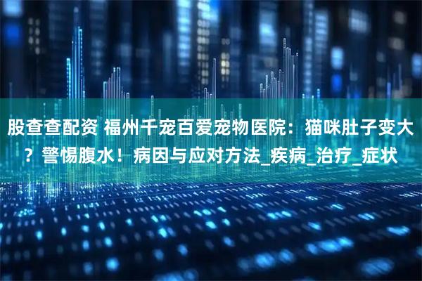 股查查配资 福州千宠百爱宠物医院：猫咪肚子变大？警惕腹水！病因与应对方法_疾病_治疗_症状